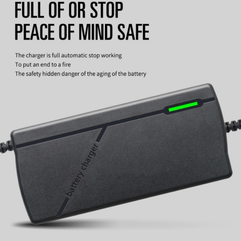 HD 73V 5A Smart 20S LED Li-ion - Electric Scooter Charger recensie en prijs